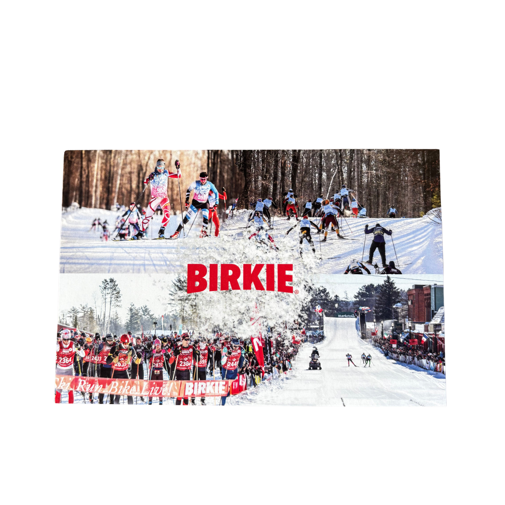 Postcard - Birkie Week