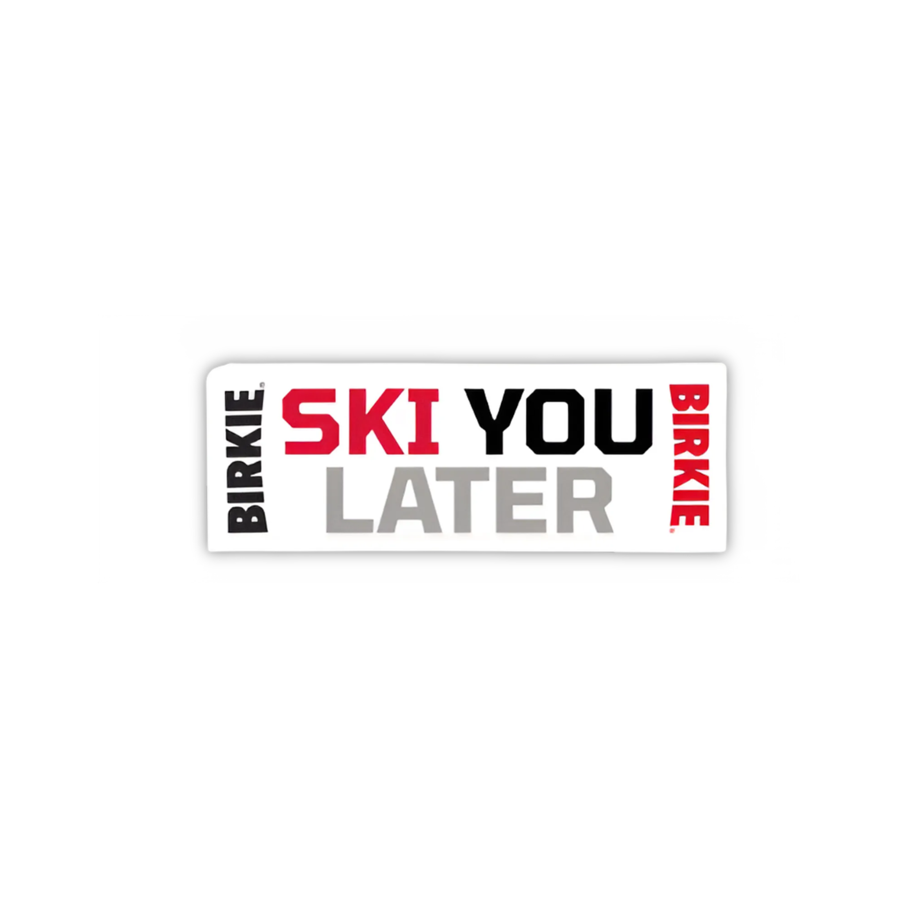 Ski You Later Sticker