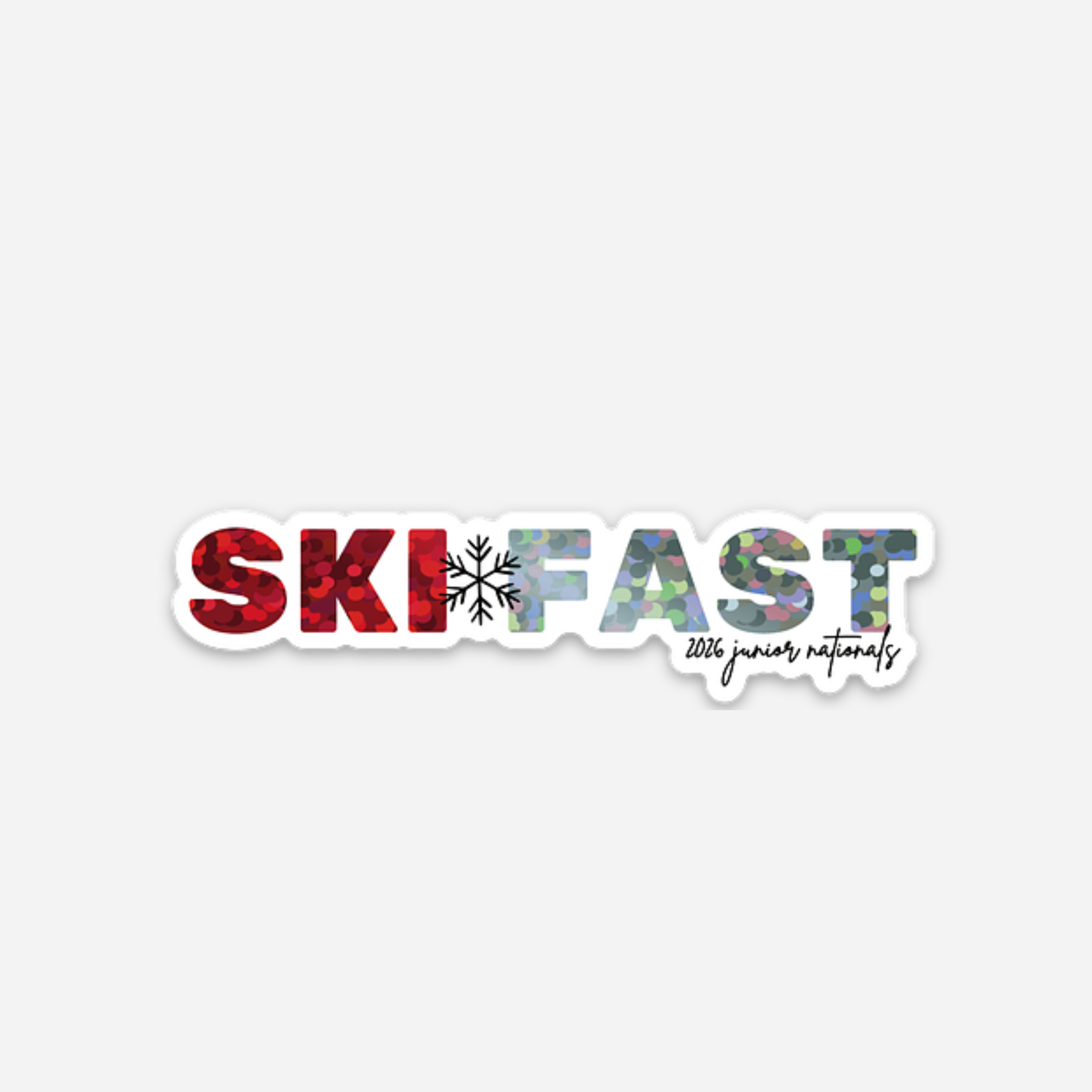 JN Ski Fast Sticker