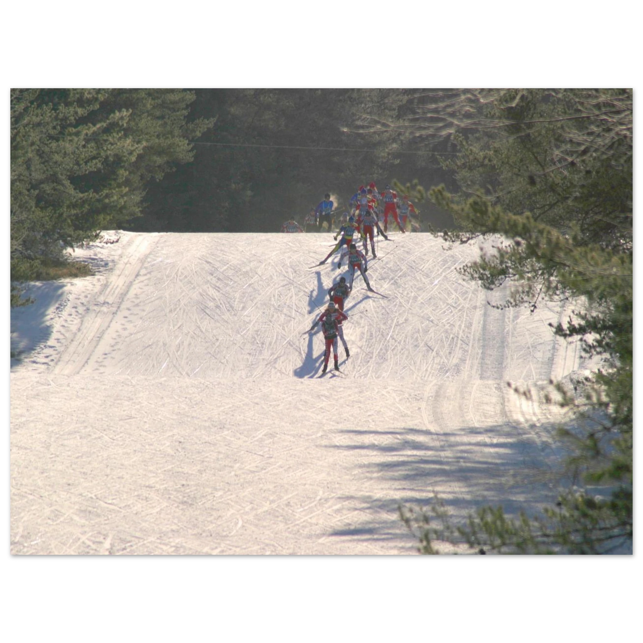 fee3ccc6-f1cd-40b2-bd59-e0cf7b39fcea