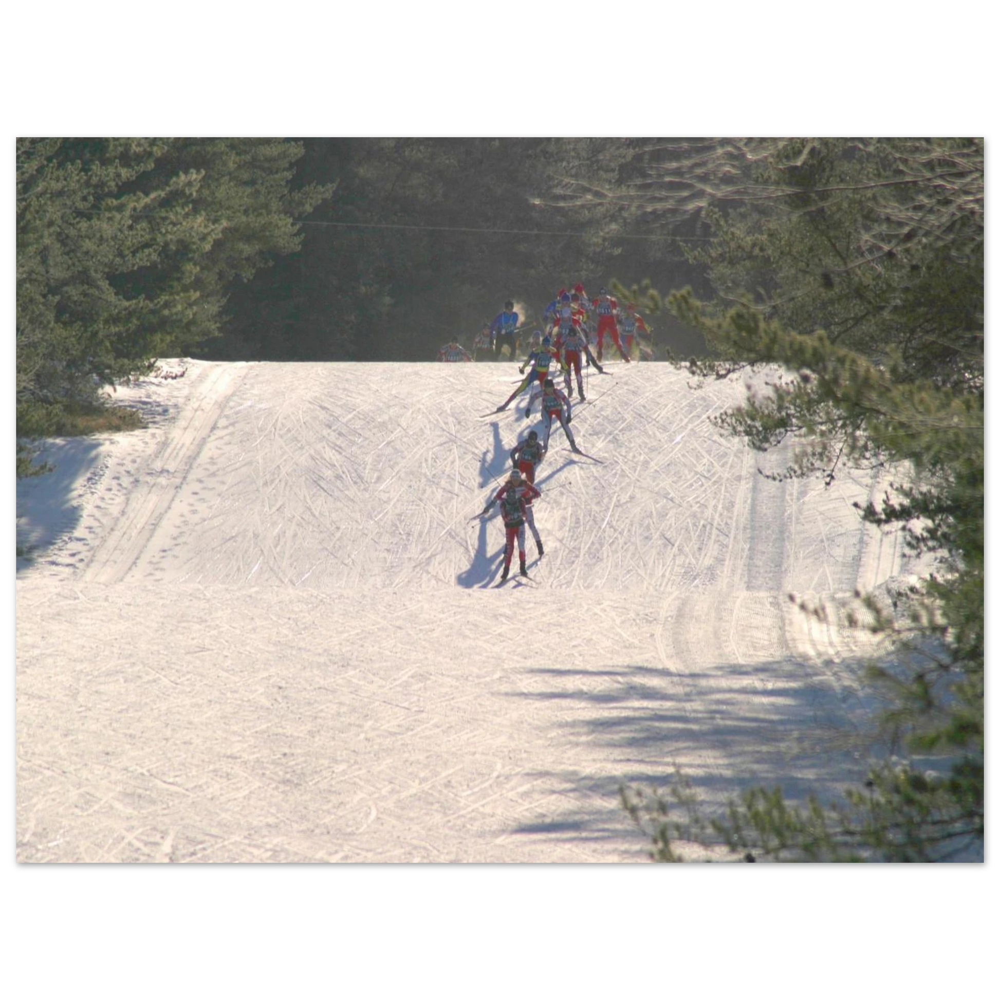 fee3ccc6-f1cd-40b2-bd59-e0cf7b39fcea